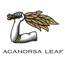 agnorsa-leaf-logo